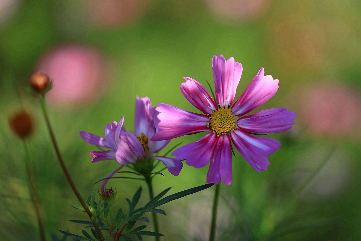 九龙湾 257_副本.jpg