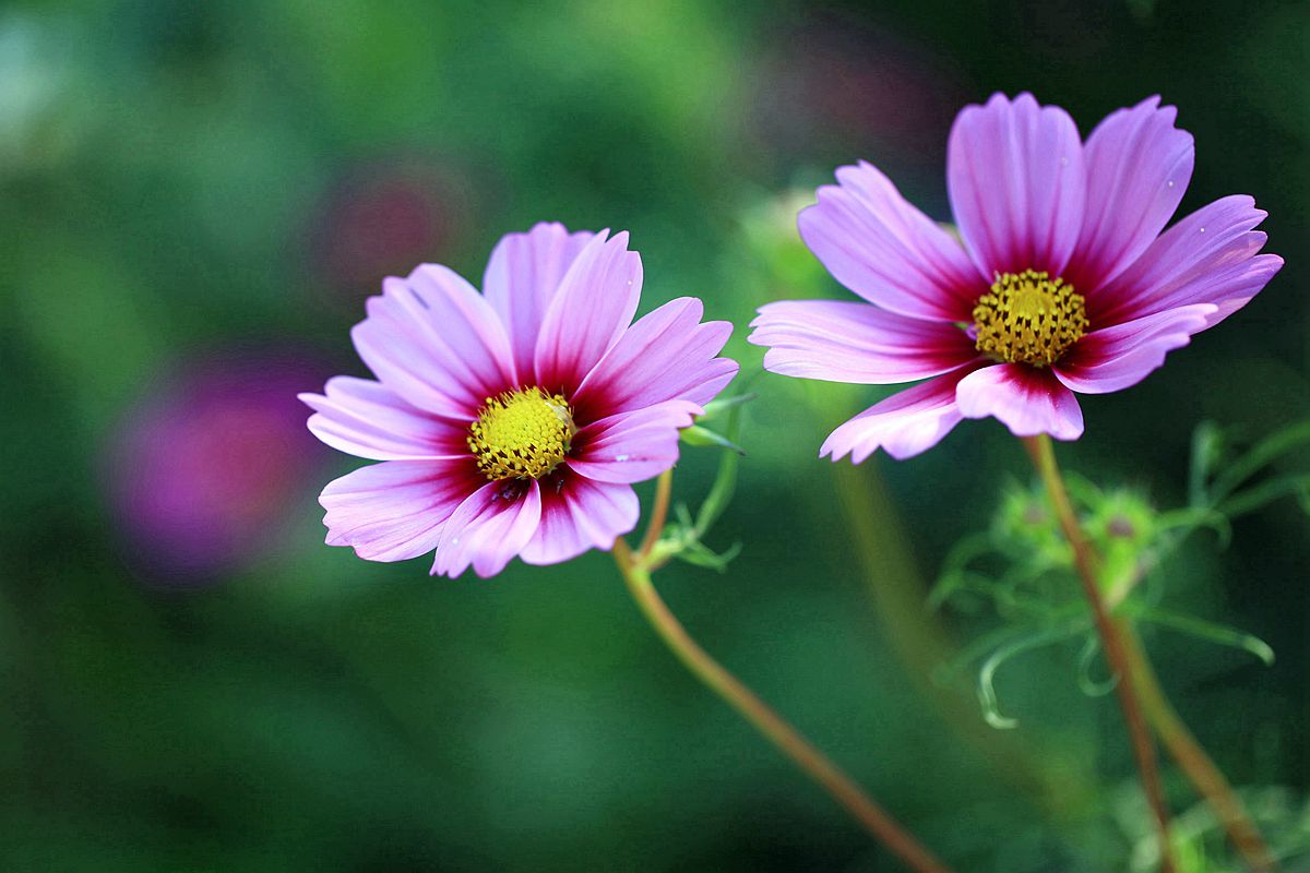 九龙湾 059_副本.jpg