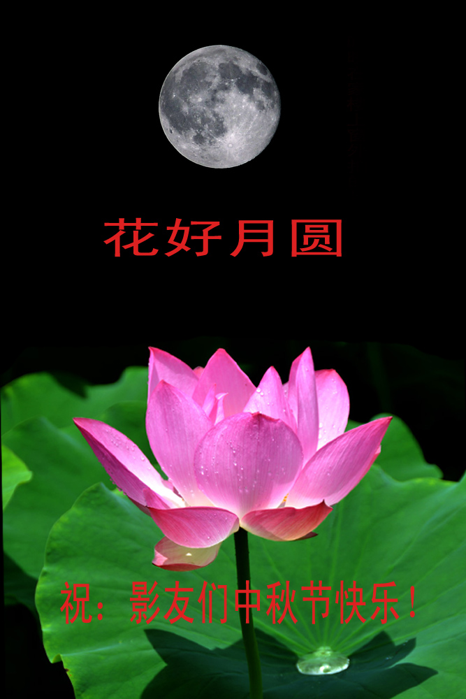 花好 月圆 (3).jpg