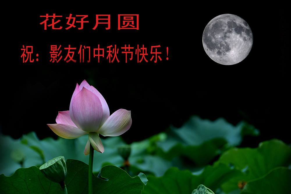 花好 月圆 (4).jpg