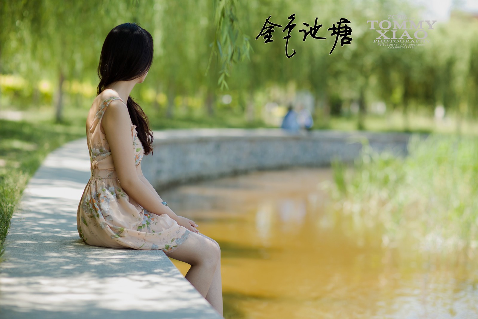 金色池塘5.jpg