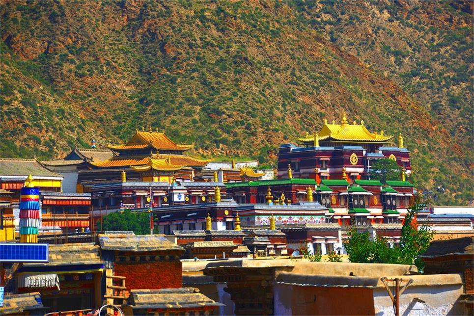DSC_9803_看图王.jpg