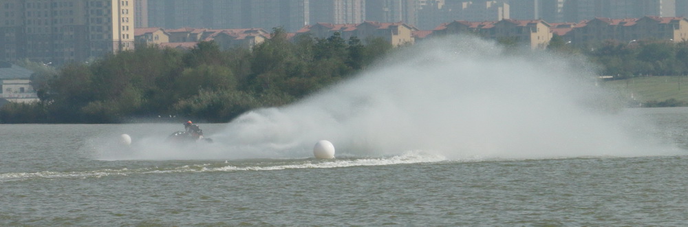 IMG_3768.jpg