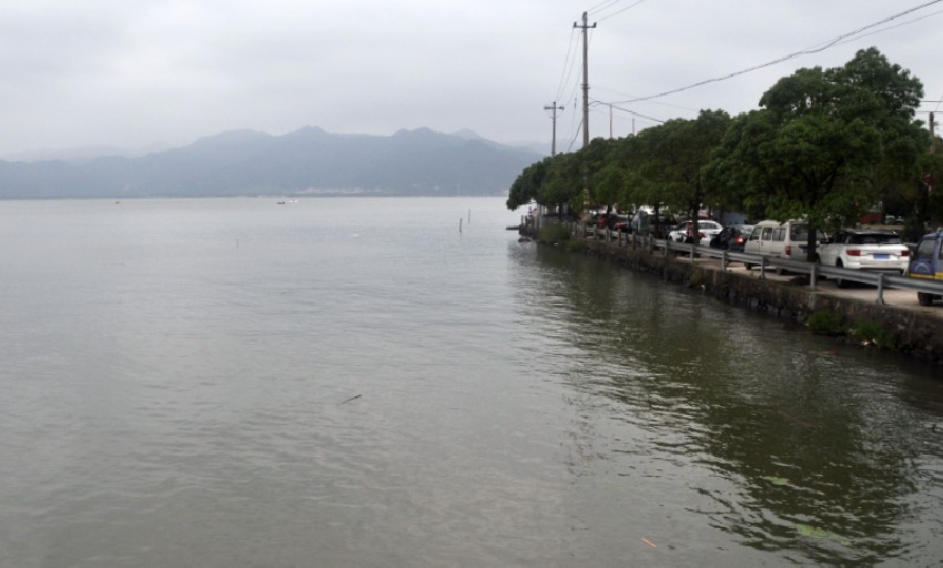 DSC_0470_conew1.jpg