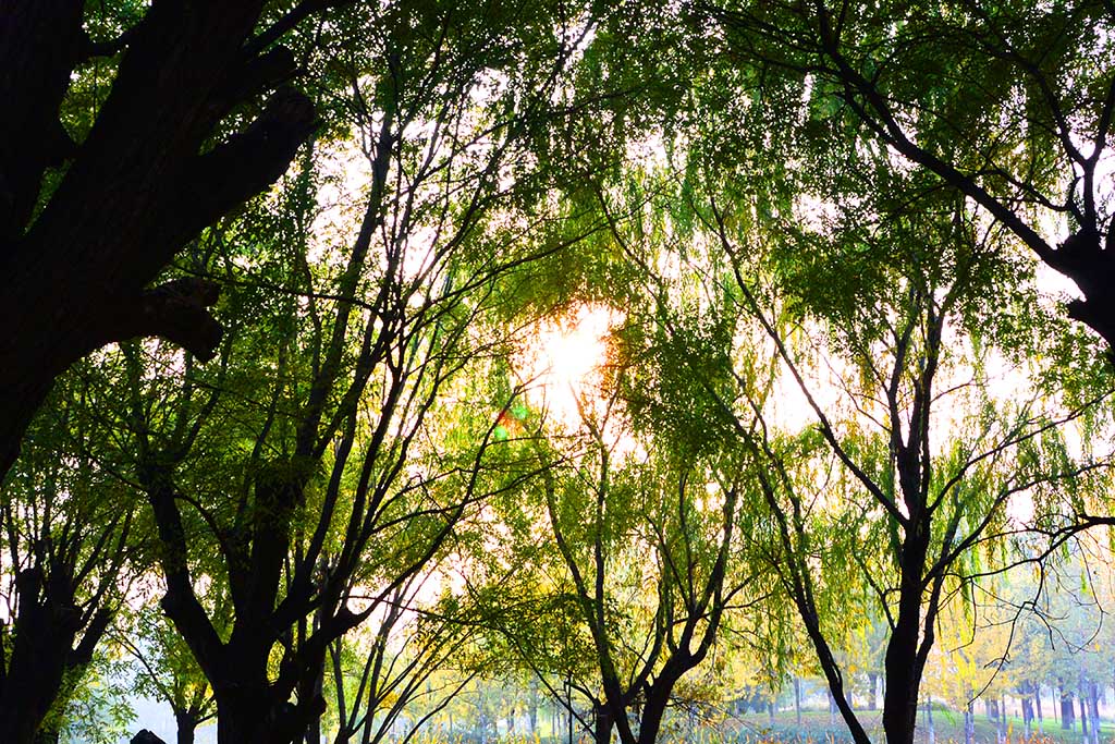 DSC_3486副本.jpg