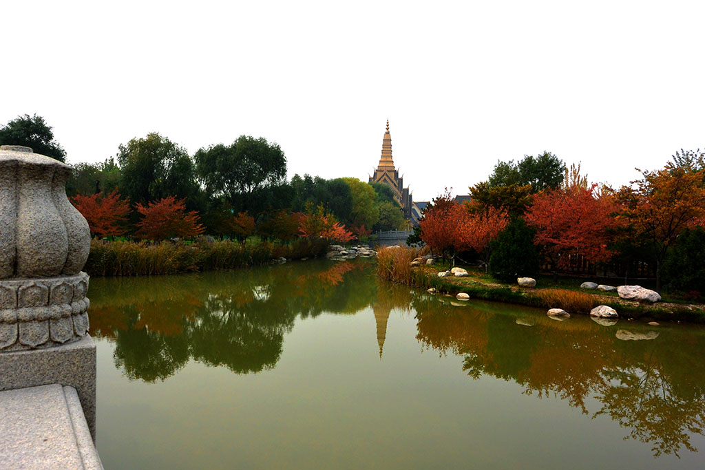 DSC_3447副本.jpg