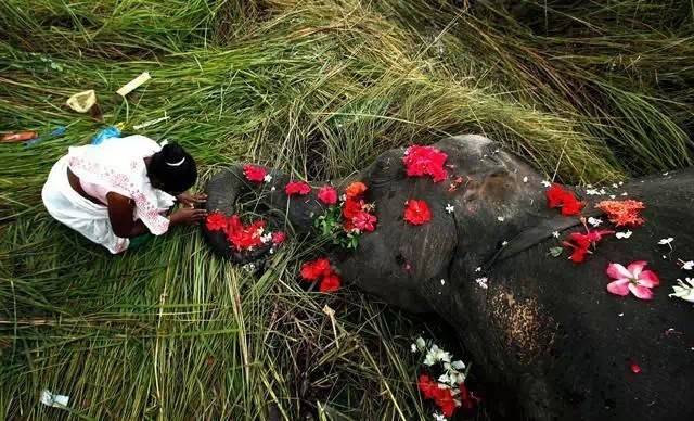 c4964aec8a4d8fd04e3e15adf4c6c5c7.jpg