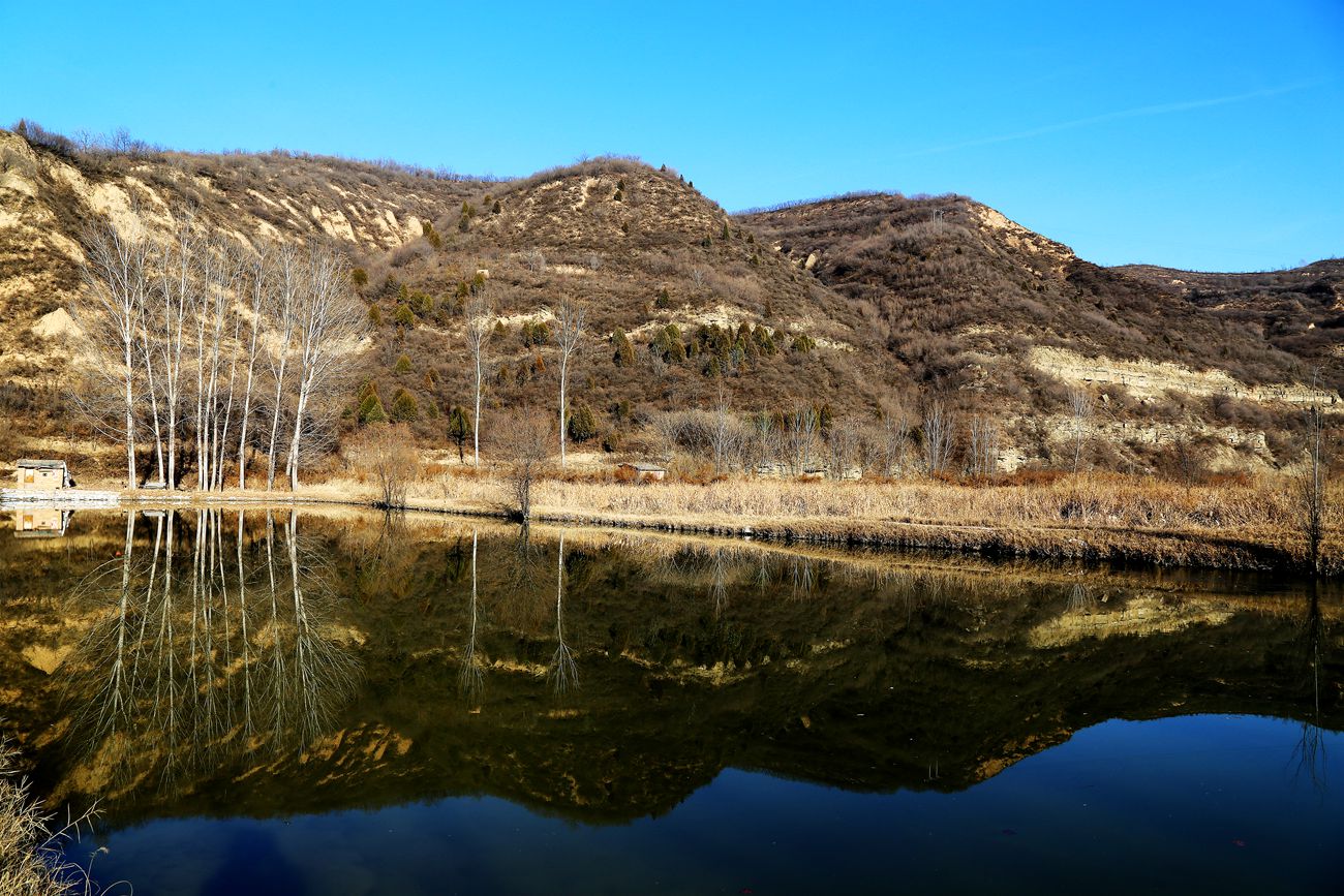 IMG_7851_副本.jpg