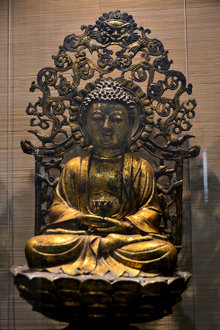 习拍静物 (27).jpg