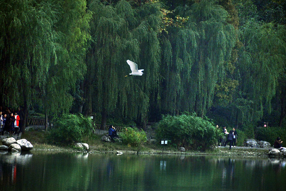 涴花溪公园 (19).jpg