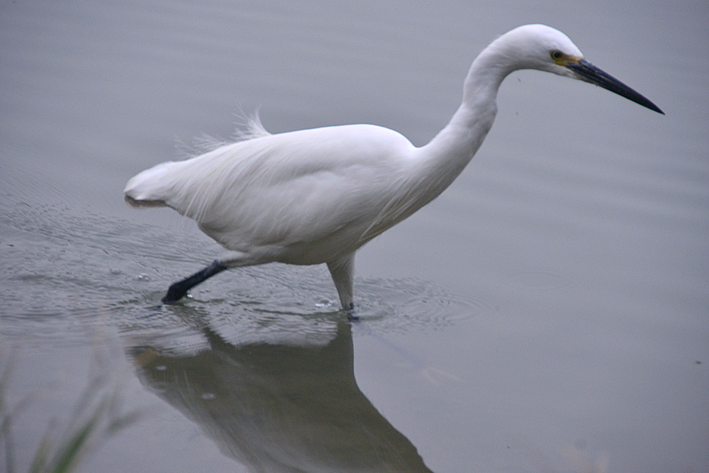 涴花溪公园 (21).jpg