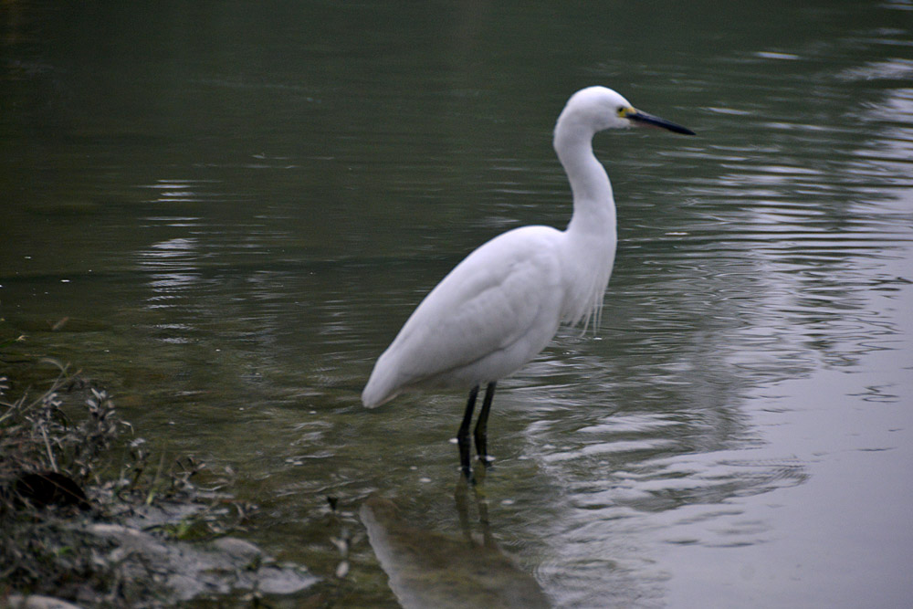 涴花溪公园 (22).jpg