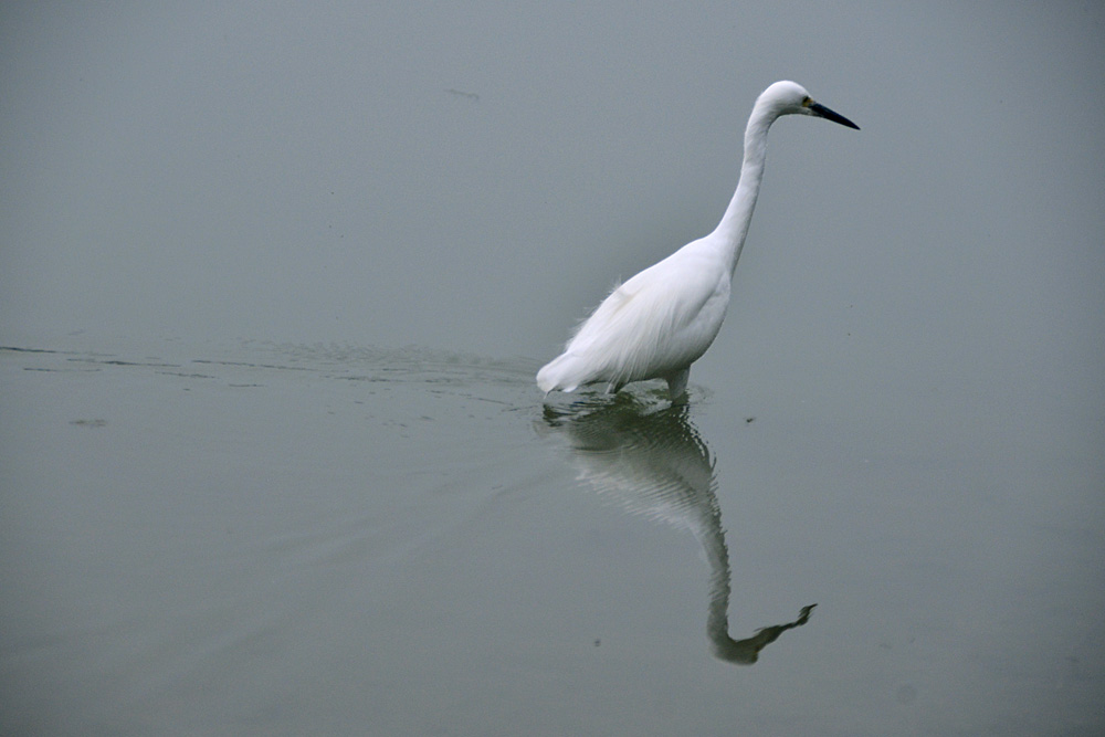 涴花溪公园 (23).jpg