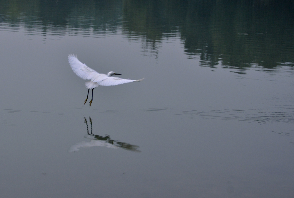 涴花溪公园 (24).jpg