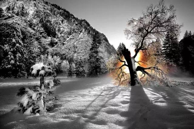 58a0cd2f5793340c99f7a720af87d9b5.jpg 58a0cd2f5793340c99f7a720af87d9b5.jpg