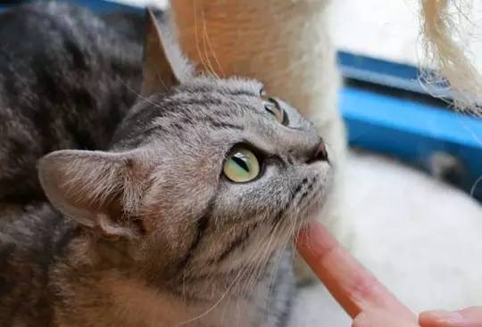 231cdb6e7e63f0bcd97cd768c103cc6c.jpg 231cdb6e7e63f0bcd97cd768c103cc6c.jpg