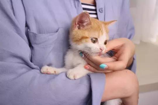 cd44fa11a459b77b8fc078a3c4f92ae5.jpg cd44fa11a459b77b8fc078a3c4f92ae5.jpg