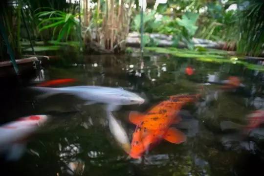 1202a3a50d78a2c68dcd6be6e68dd400.jpg 1202a3a50d78a2c68dcd6be6e68dd400.jpg