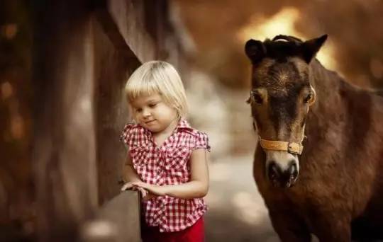 48862f4d8e91fd9fa338bf54fd54969e.jpg 48862f4d8e91fd9fa338bf54fd54969e.jpg