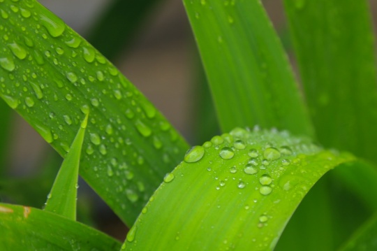 aa0b0ca1220abd5771a3b00a14389948.jpg aa0b0ca1220abd5771a3b00a14389948.jpg