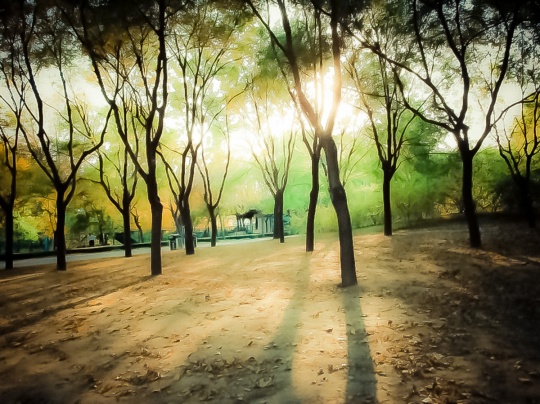 f7b2ca87394d710e6a06036fed8e9bf8.jpg f7b2ca87394d710e6a06036fed8e9bf8.jpg