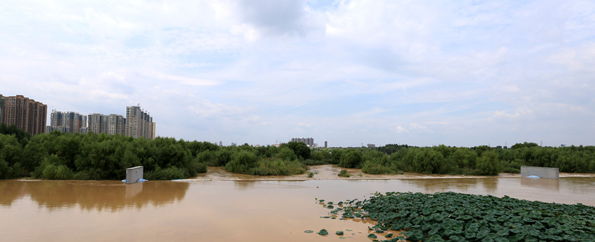 C24T5126_conew2_副本.jpg
