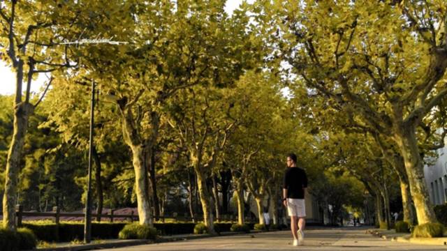 c8456b7ca18255fc4fb9aba5cb2e3c2e.jpg c8456b7ca18255fc4fb9aba5cb2e3c2e.jpg