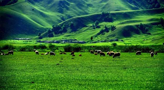 2e19913e09b2e48ae0ff5e32005aacdb.jpg 2e19913e09b2e48ae0ff5e32005aacdb.jpg