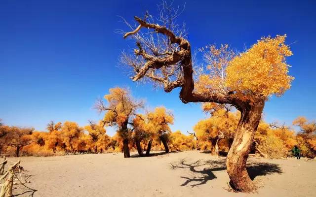 45bb0371ae87b594786b30a534833dfc.jpg 45bb0371ae87b594786b30a534833dfc.jpg