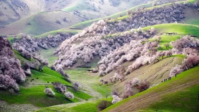 b18d4345449be33d8e3b8a9316b79901.jpg b18d4345449be33d8e3b8a9316b79901.jpg