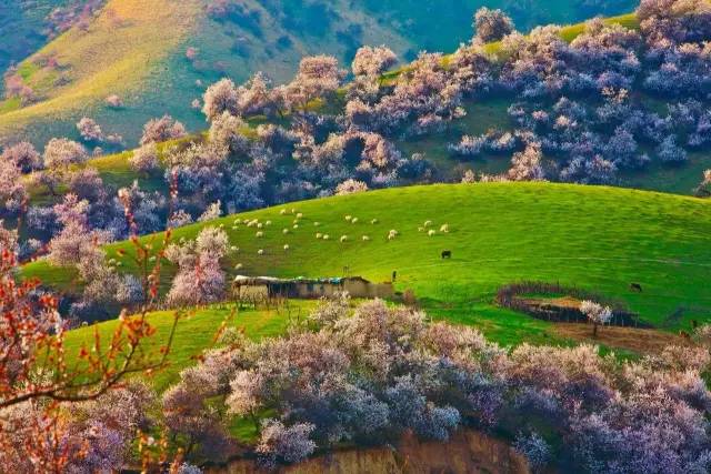 ee69f1c16fa4b997ccf9bba214b334ae.jpg ee69f1c16fa4b997ccf9bba214b334ae.jpg