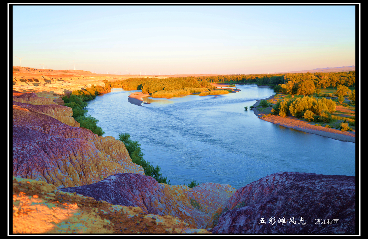 DSC_8209_副本0.jpg