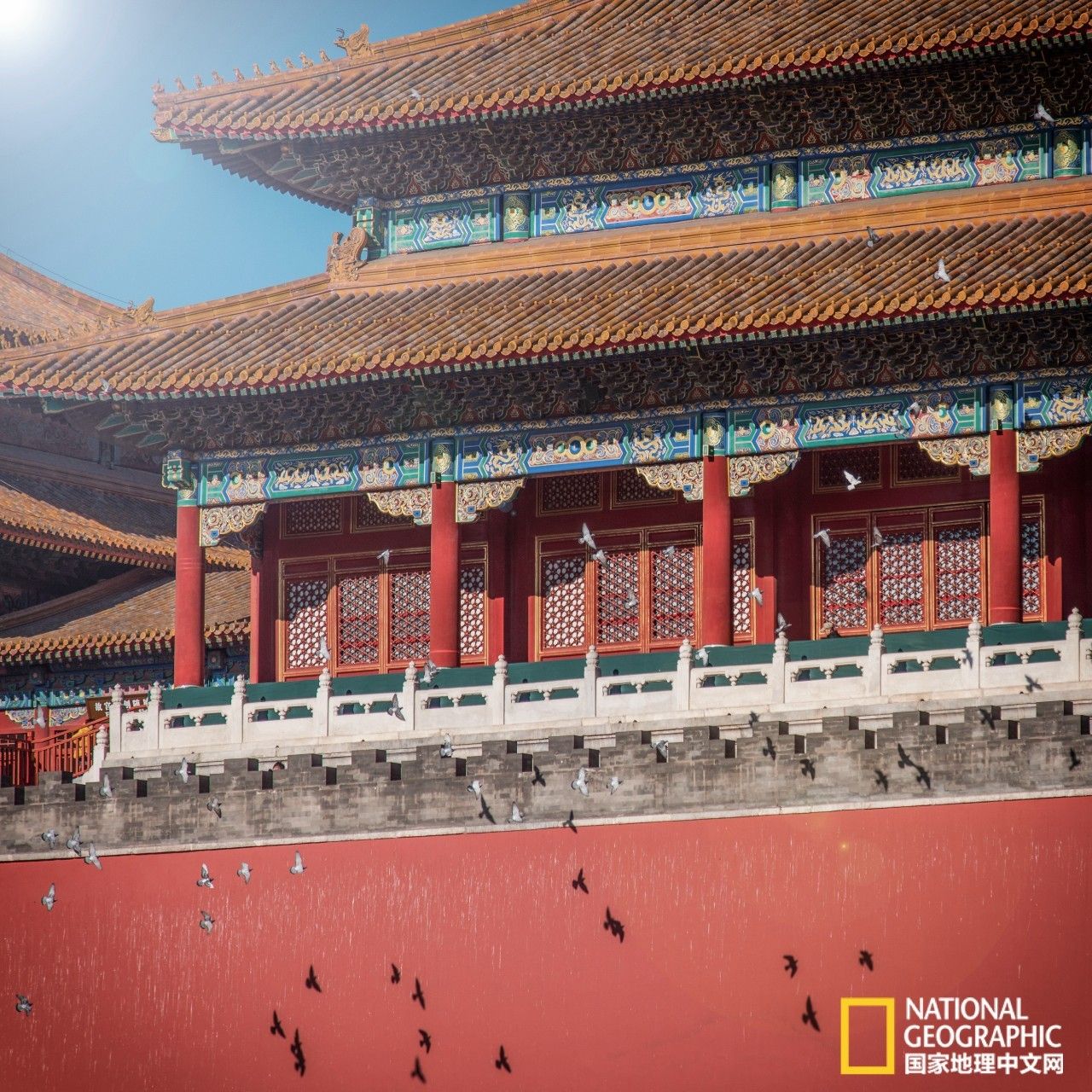 319b772a3009accddade2c359df5689e.jpg 319b772a3009accddade2c359df5689e.jpg