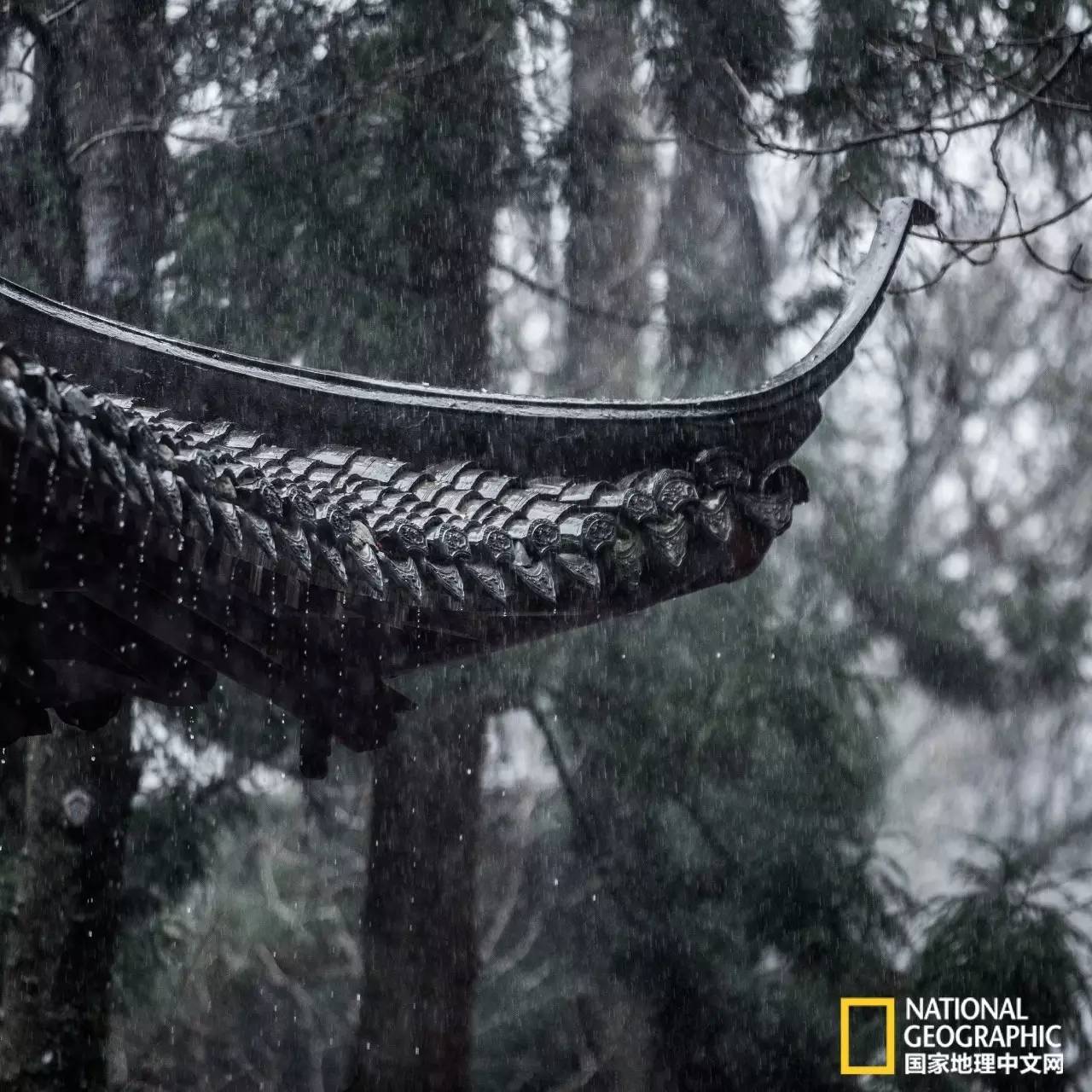 a9cb521b929fe32596127c2dd4e2ae53.jpg a9cb521b929fe32596127c2dd4e2ae53.jpg