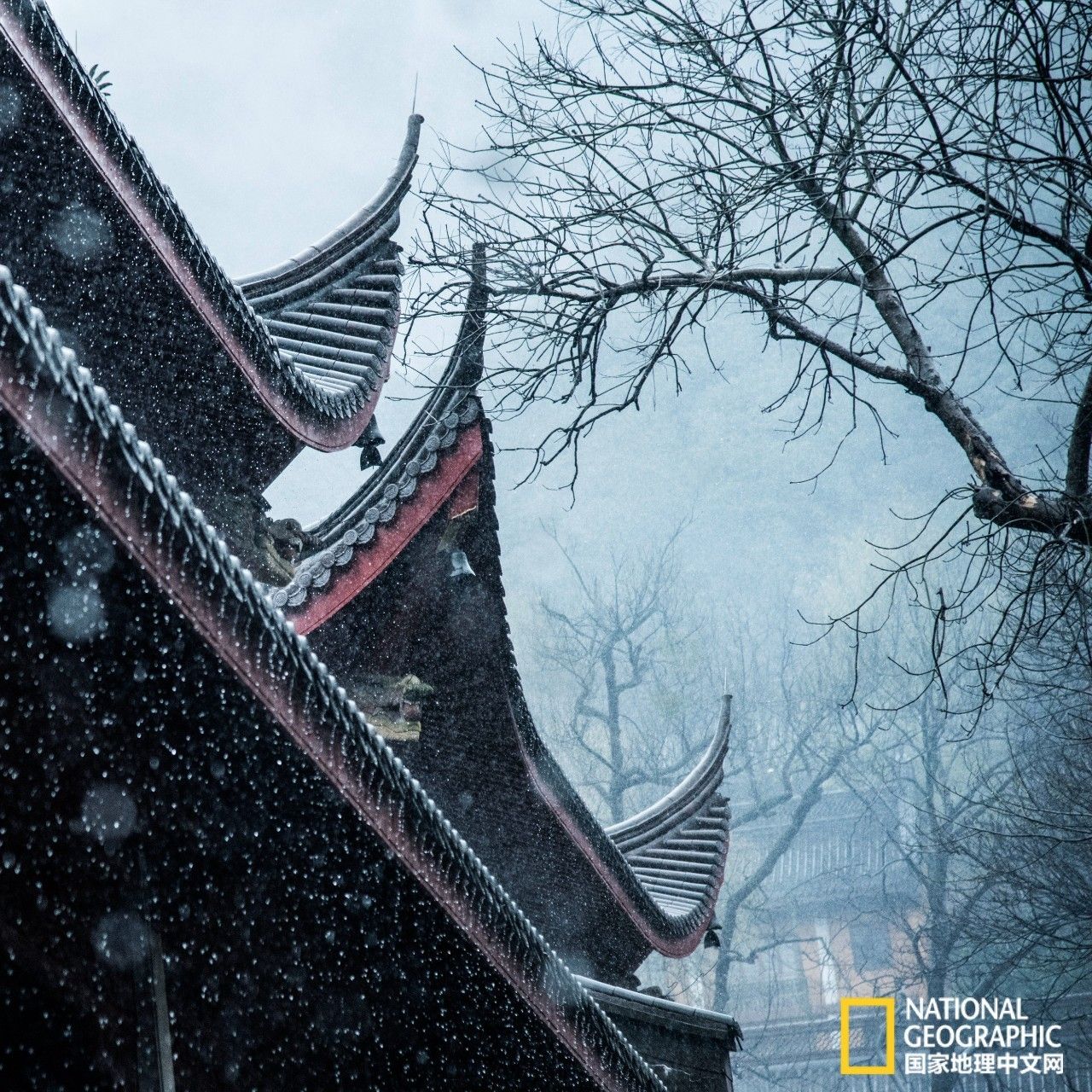 529cbba3eabf1a29650da1e670c5994d.jpg 529cbba3eabf1a29650da1e670c5994d.jpg