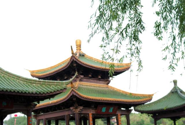 5af6d2fb8d8b978dbc39810fc3e02fd1.jpg 5af6d2fb8d8b978dbc39810fc3e02fd1.jpg