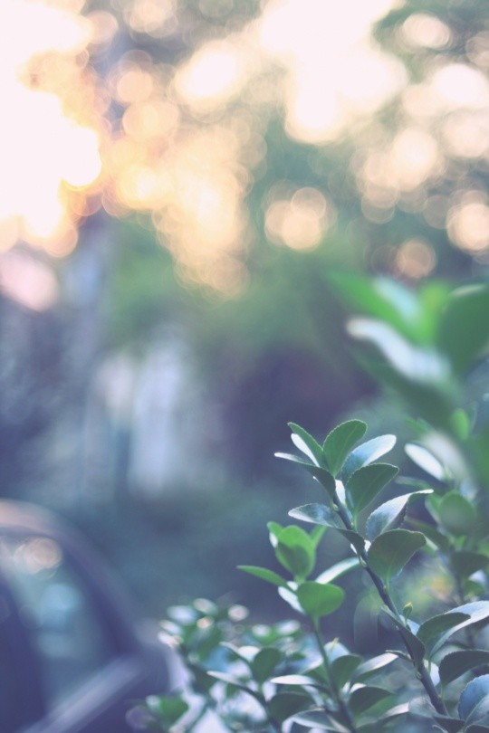 7d51ab9929a6e3218b61793f8f1f07fc.jpg 7d51ab9929a6e3218b61793f8f1f07fc.jpg