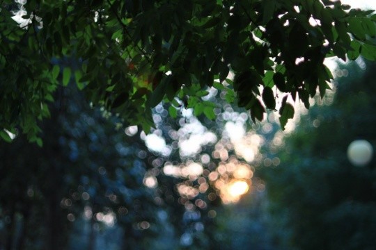 d4f11a319645e499f0b05e16e72b9215.jpg d4f11a319645e499f0b05e16e72b9215.jpg