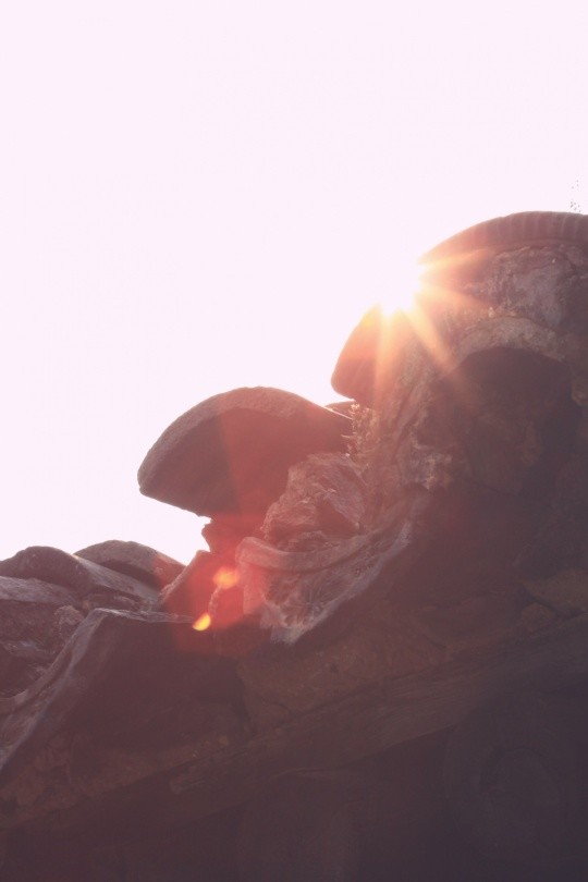 493e9332cdc53e3acf7341a63dc521c1.jpg 493e9332cdc53e3acf7341a63dc521c1.jpg