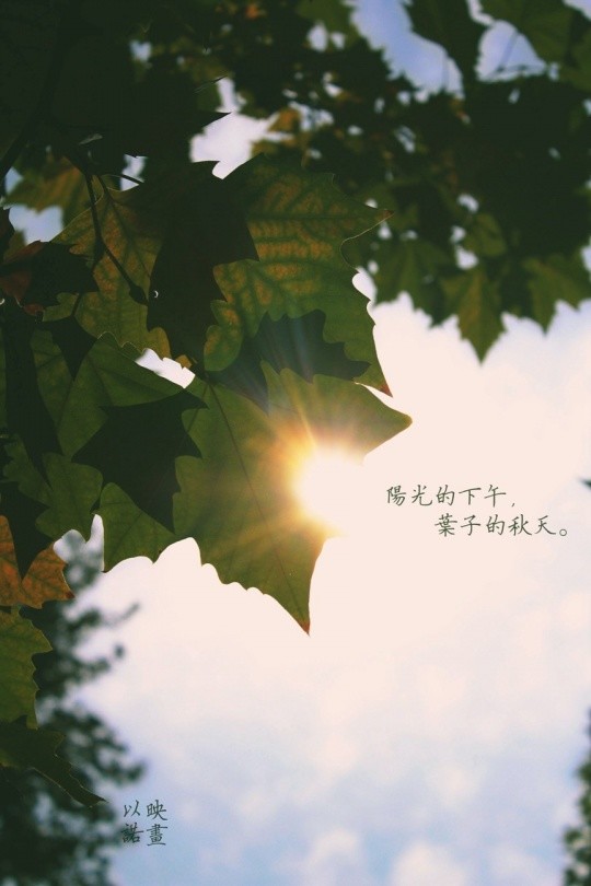 4b32d7db067cb0e8f5e72718219c3720.jpg 4b32d7db067cb0e8f5e72718219c3720.jpg