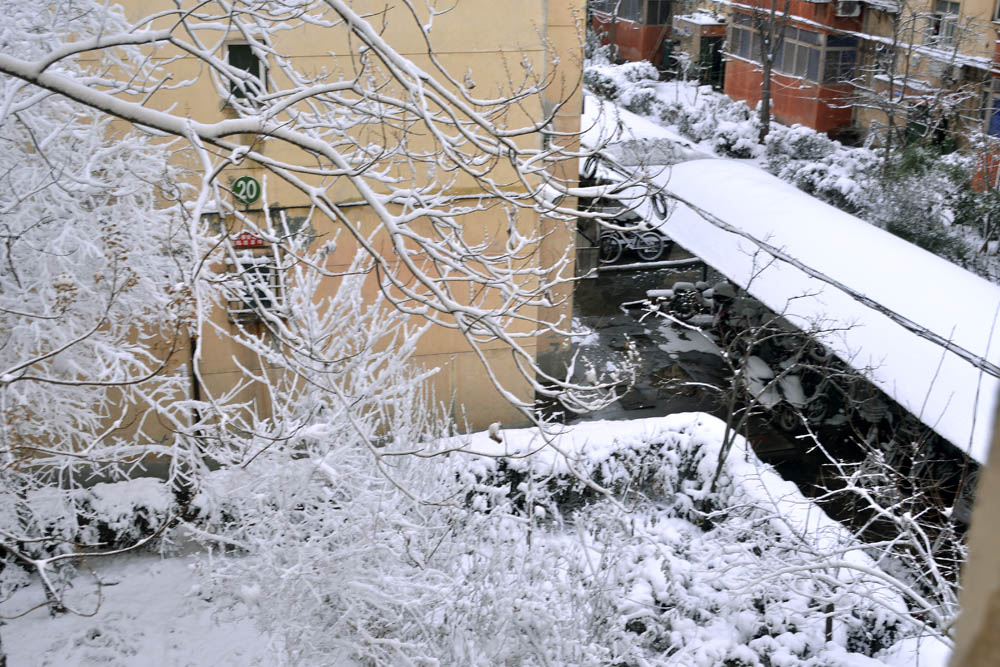 窗外 雪景 (2).jpg