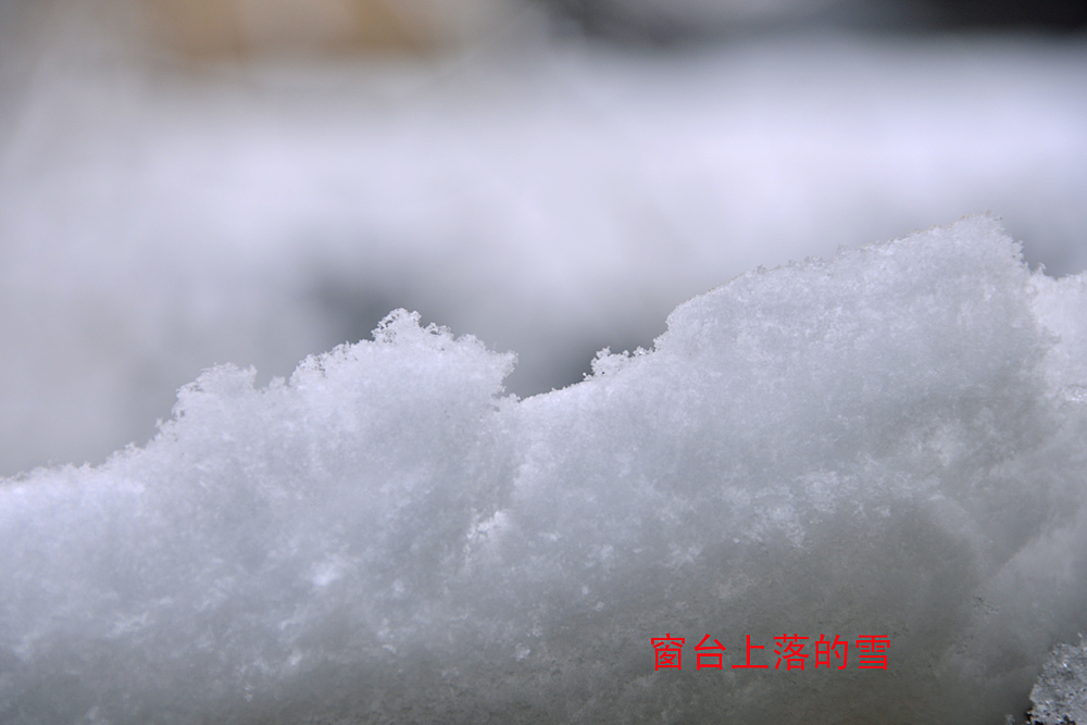 窗外 雪景 (3).jpg