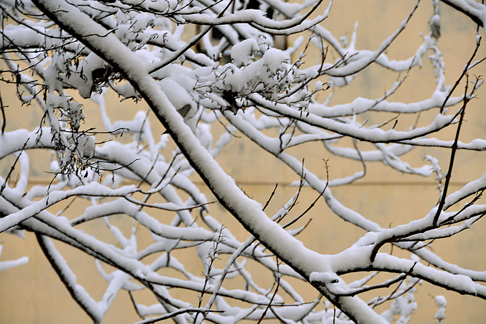 窗外 雪景 (12).jpg