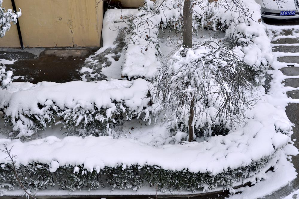 窗外 雪景 (16).jpg