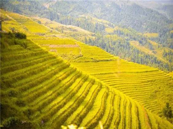 39f20f712aa00c34907d09d93212b1b2.jpg 39f20f712aa00c34907d09d93212b1b2.jpg