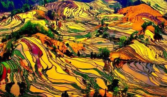 566edec78d4a863b98a85a8b5c666bbe.jpg 566edec78d4a863b98a85a8b5c666bbe.jpg