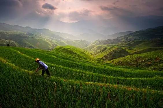 fea2d62cf2b7d24144cd4f9c94c17d75.jpg fea2d62cf2b7d24144cd4f9c94c17d75.jpg