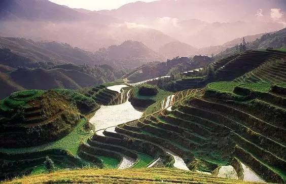 d25bf11cd6c14d6d598e2ba25e3a2282.jpg d25bf11cd6c14d6d598e2ba25e3a2282.jpg