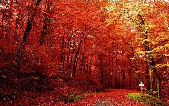 c81613934ecb5807cd016c9a4a644cd5.jpg c81613934ecb5807cd016c9a4a644cd5.jpg