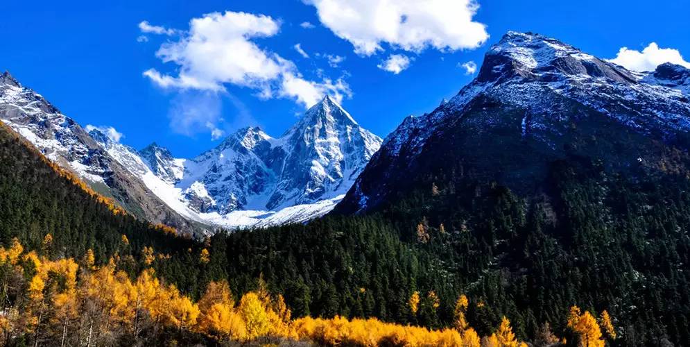 a69ba1386f927bff034fa22fc7afe007.jpg a69ba1386f927bff034fa22fc7afe007.jpg